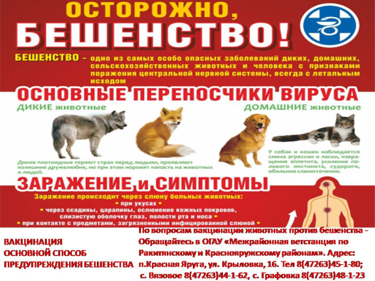 Осторожно, бешенство!. Осторожно, бешенство!.